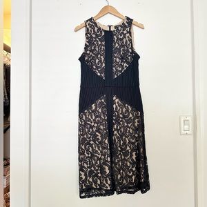 The Limited Navy Blue Lace Sleeveless Dress